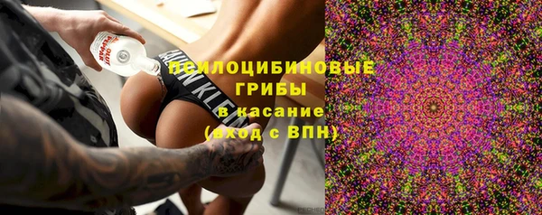 МДПВ Алексин